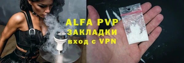 сатива Нягань