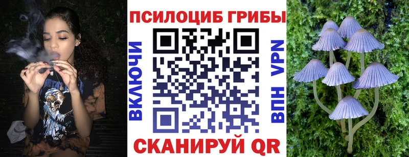 наркотики  кракен онион  Псилоцибиновые грибы Psilocybe  Крымск 